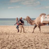 Camel'idées de l'Atlantique